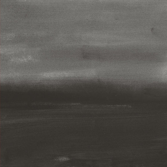 LOREN CONNORS & DAVID GRUBBS - Evening Air