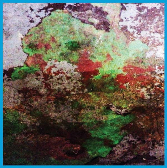 Lst - Th Duo (LP) - Joco Records