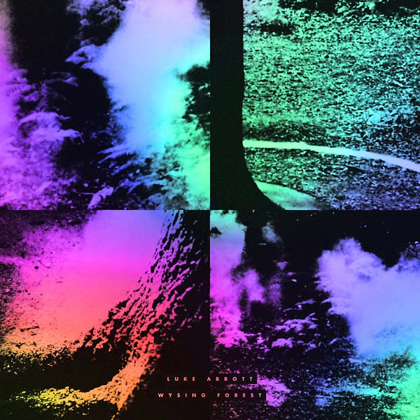 LUKE ABBOTT - Wysing Forest