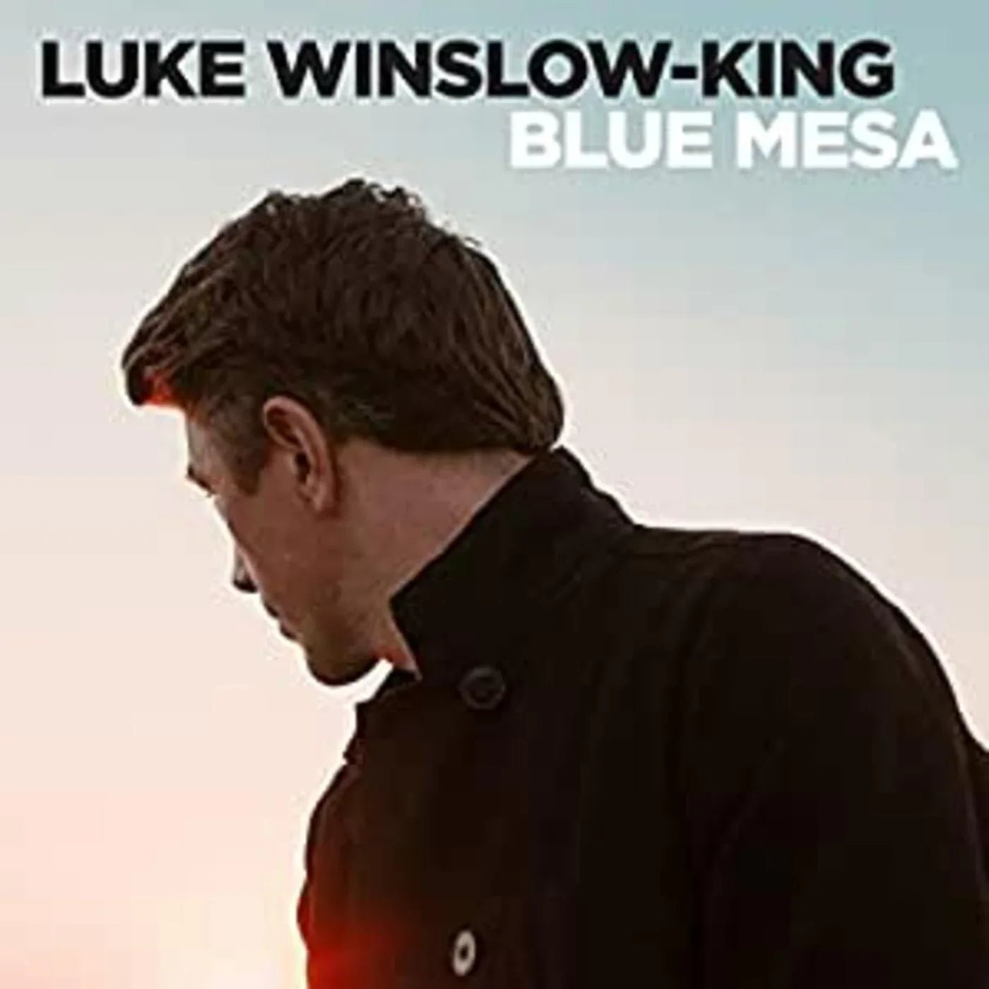 Luke Winslow-King - Blue Mesa (LP) - Joco Records