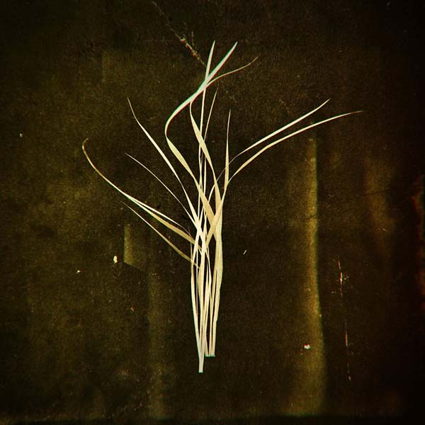 Lumisokea - Mnemosyne (LP) - Joco Records