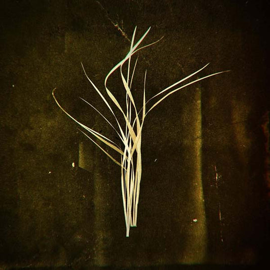 LUMISOKEA - Mnemosyne