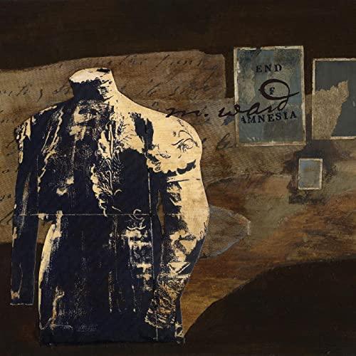 M. Ward - M. Ward - End of Amnesia (20th Anniversary Remastered Edition) (2 LP) - Joco Records