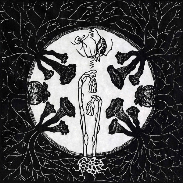 Magic Tuber Stringband - Tarantism (LP) - Joco Records