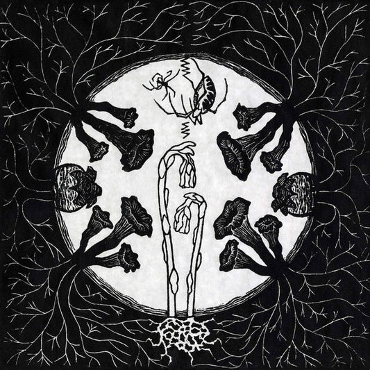 Magic Tuber Stringband - Tarantism (LP) - Joco Records