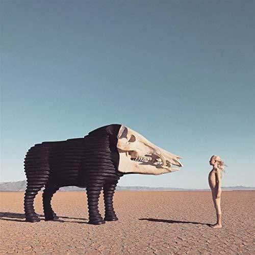 Man Man - Dream Hunting In The Valley Of The In-Between (2 LP) - Joco Records