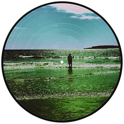 Manic Street Preachers - Ultra Vivid Lament (Picture Disc Vinyl, Import) (LP) - Joco Records