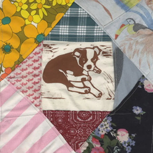 Mapache - Roscoe's Dream (2 LP) - Joco Records