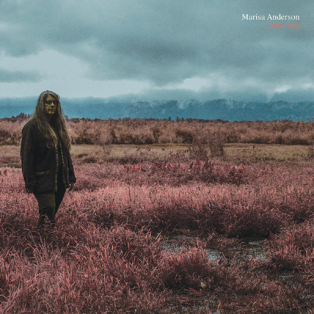 Marisa Anderson - Still, Here (LP) - Joco Records