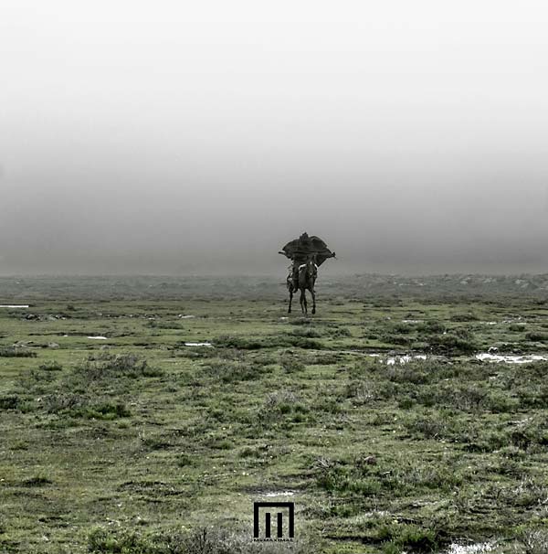 Markus Wormstorm - Figure In Field (LP) - Joco Records