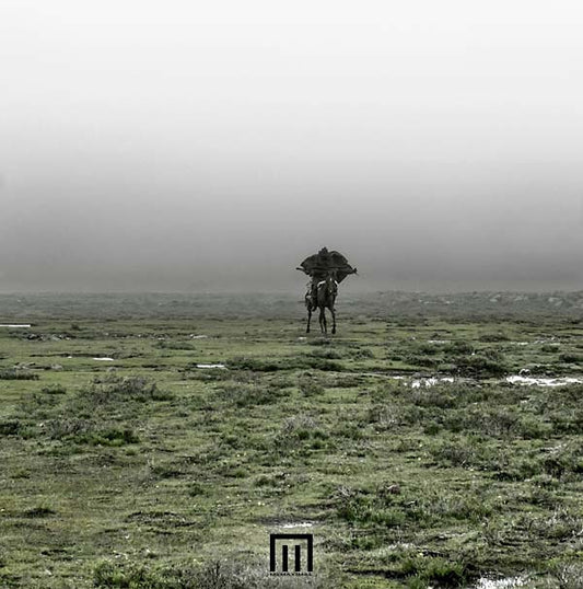 Markus Wormstorm - Figure In Field (LP) - Joco Records