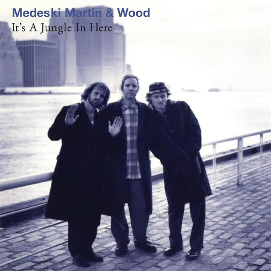 Martin & Wood Medeski - It's A Jungle In Here (LP) - Joco Records