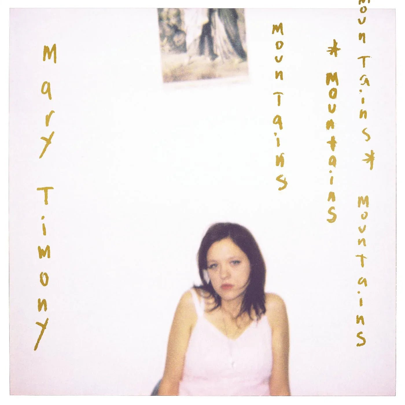 Mary Timony - Mountains (20th Anniversary Expanded Edition) (2 LP) - Joco Records