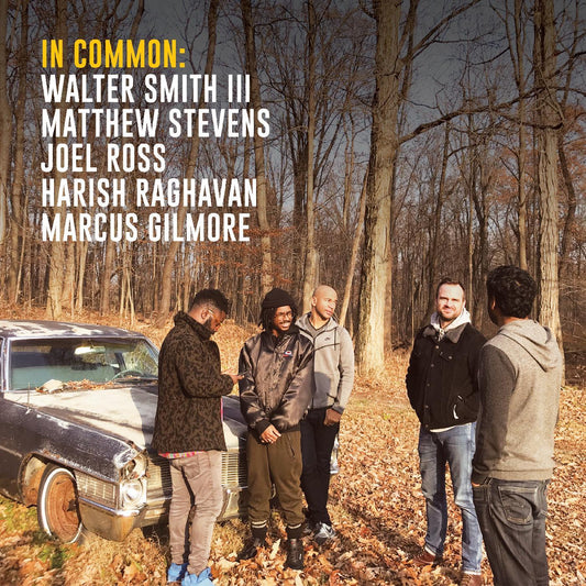 Matthew & Walter Smith III Stevens - In Common: (LP) - Joco Records