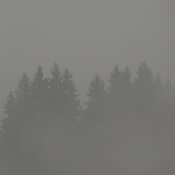 Max Loderbauer - Donnerwetter (LP) - Joco Records