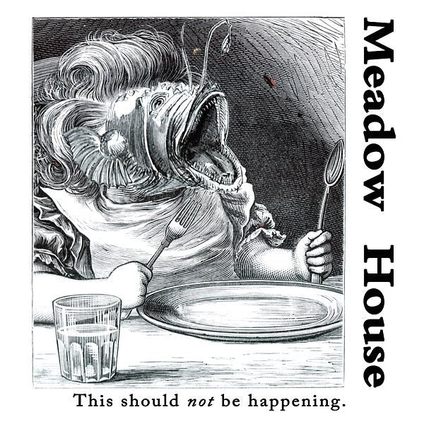 Meadow House - This Should Not Be Happening (LP) - Joco Records