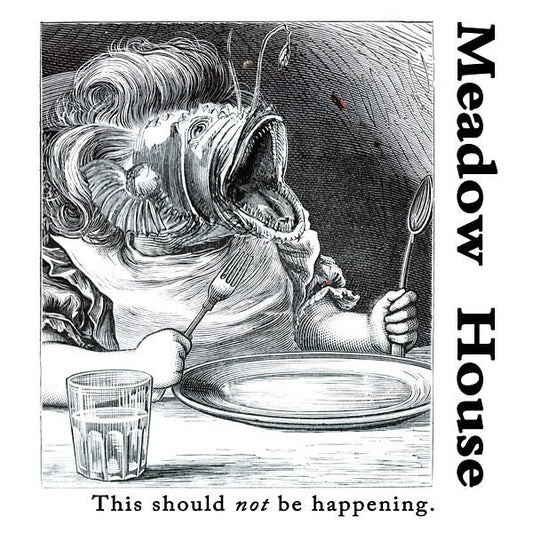 Meadow House - This Should Not Be Happening (LP) - Joco Records