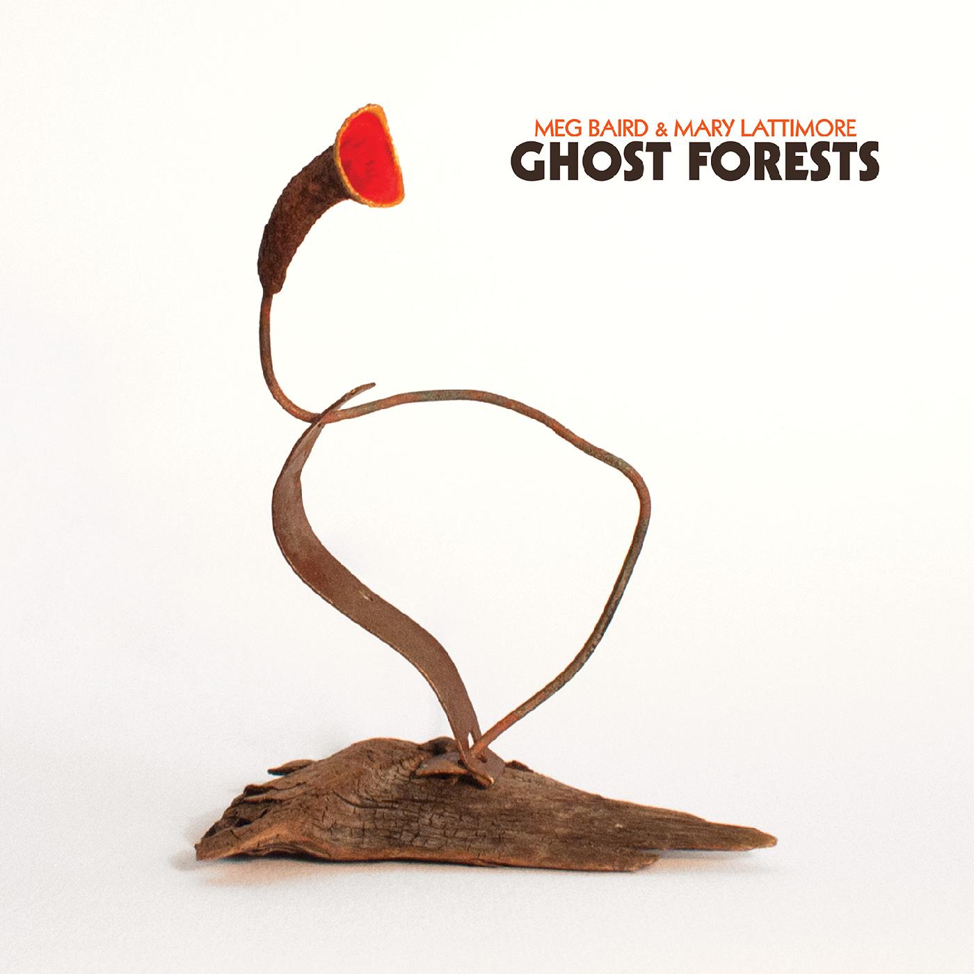 Meg And Mary Lattimore Baird - Ghost Forests (Green Vinyl) - Joco Records