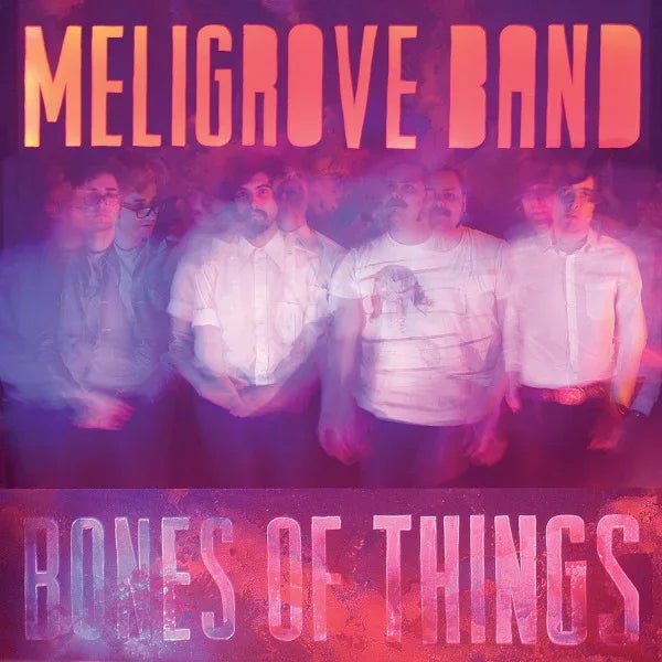 Meligrove Band - Bones Of Things (LP) - Joco Records