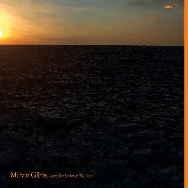 Melvin Gibbs - Anamibia Sessions 1: The Wave (LP) - Joco Records