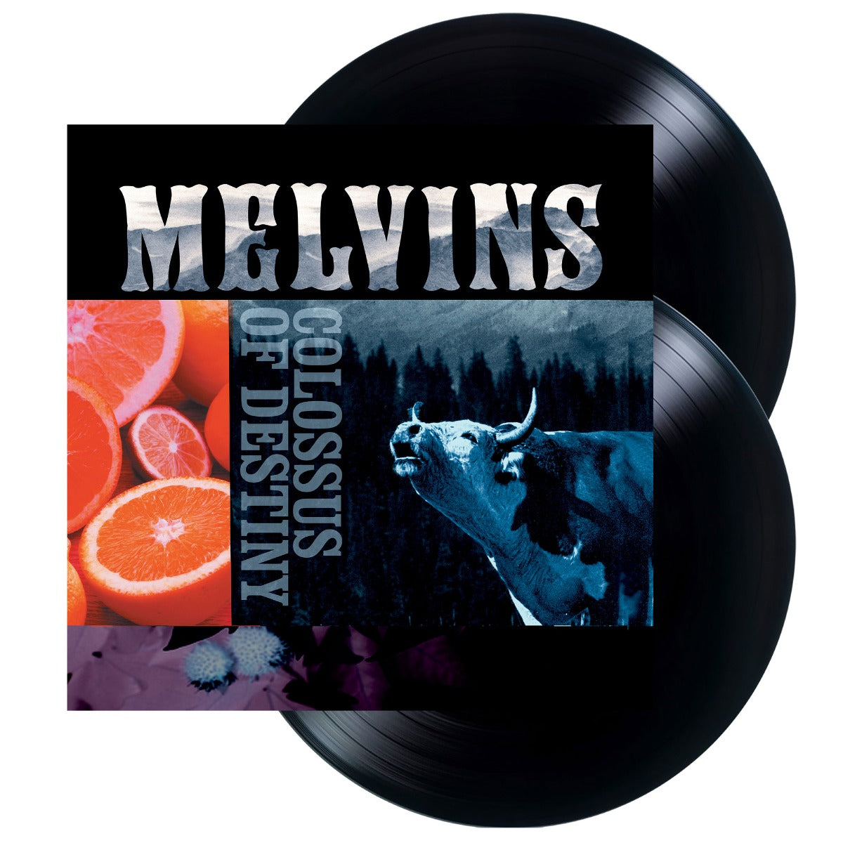 Melvins - Colossus Of Destiny (2 LP Vinyl Reissue)