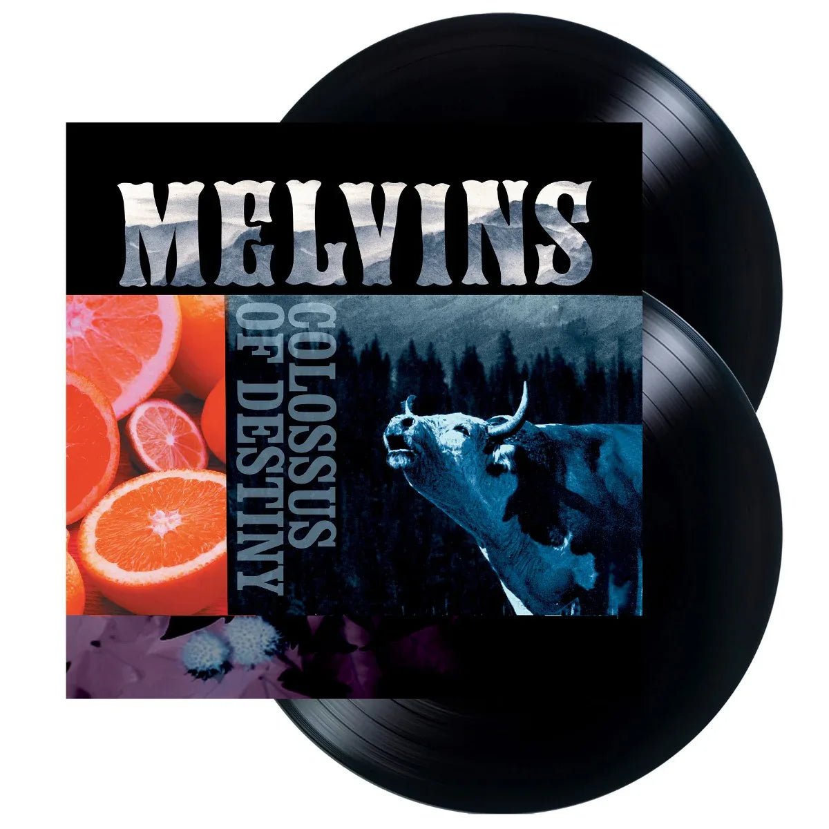 Melvins - Colossus Of Destiny (Reissue) (2 LP) - Joco Records
