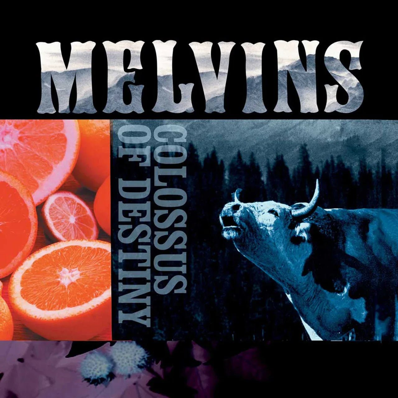 Melvins - Colossus Of Destiny (Reissue) (2 LP) - Joco Records