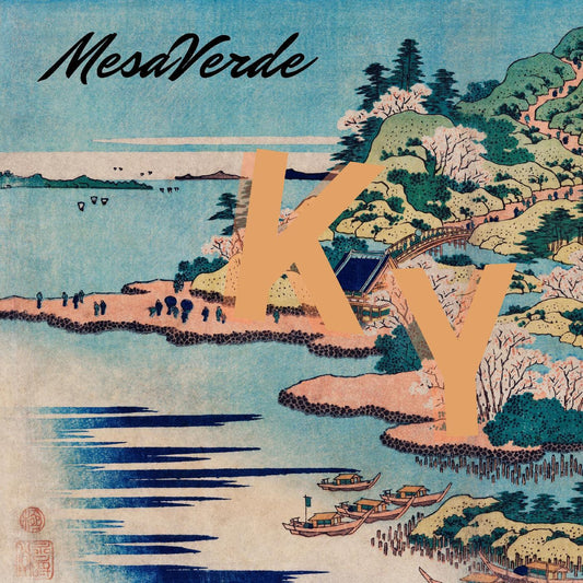 Mesaverde - Ky (White Vinyl) (LP) - Joco Records