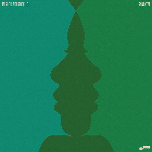 Meshell Ndegeocello - Synonym (2 LP) - Joco Records