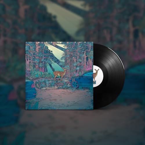 Michael Cera Palin - We Could Be Brave (LP) - Joco Records