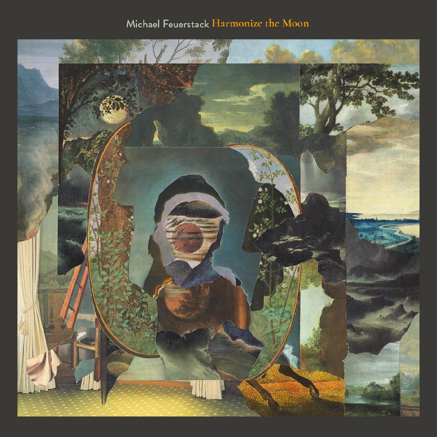 Michael Feuerstack - Harmonize The Moon (LP) - Joco Records