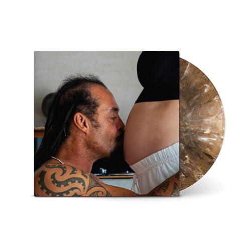 Michael & Spearhead Franti - Welcome To The Family (LP) - Joco Records