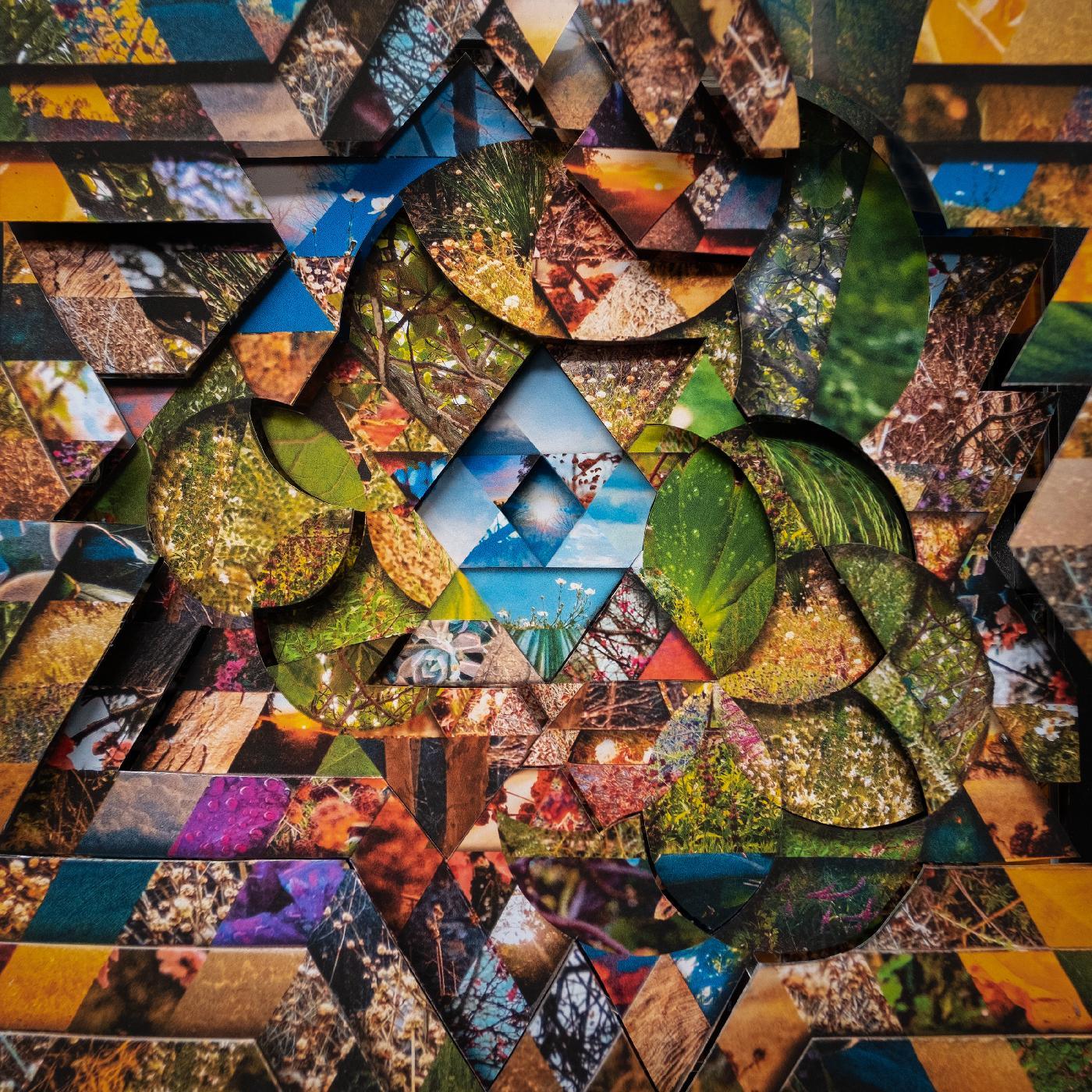 Miguel Atwood-Ferguson - Les Jardins Mystiques Vol.1 (4 LP) - Joco Records