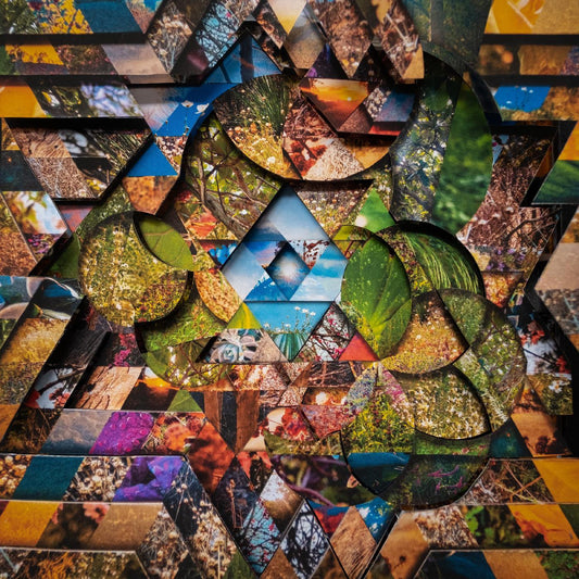 Miguel Atwood-Ferguson - Les Jardins Mystiques Vol.1 (4 LP) - Joco Records