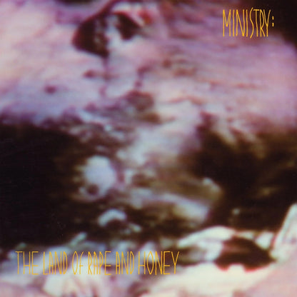 Ministry - The Land Of Rape And Honey (Deluxe Edition) (Indie Exclusive, Rocktober 2024) (2 LP) - Joco Records