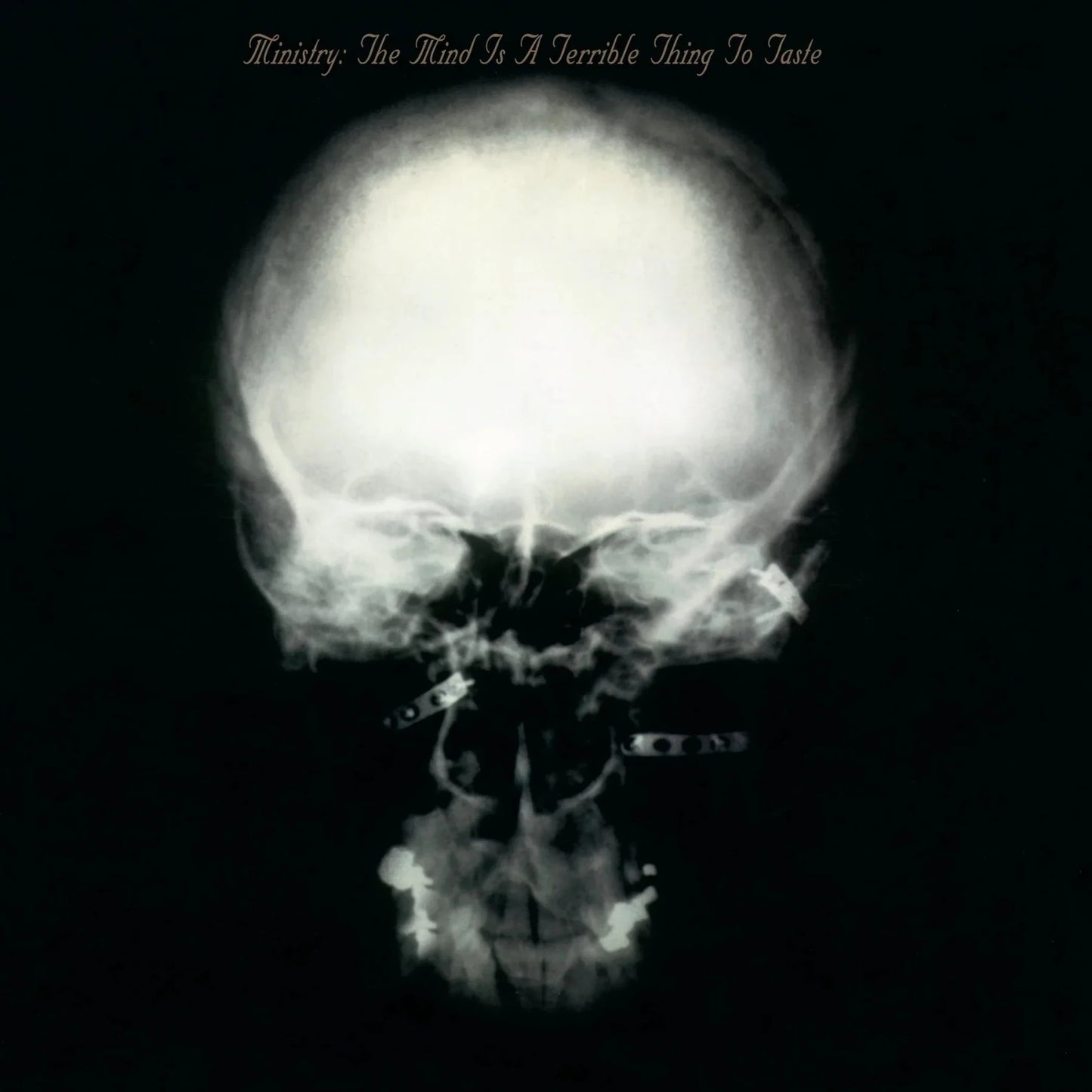 Ministry - The Mind is a Terrible Thing to Taste (Expanded Edition, Rocktober 25 Exclusive) (2 LP) - Joco Records