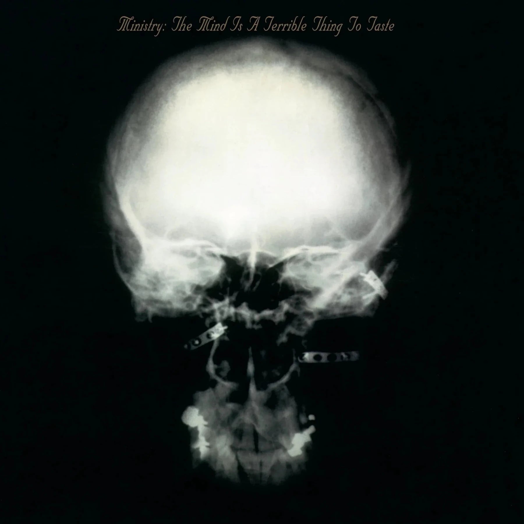 Ministry - The Mind is a Terrible Thing to Taste (Expanded Edition, Rocktober 25 Exclusive) (2 LP) - Joco Records