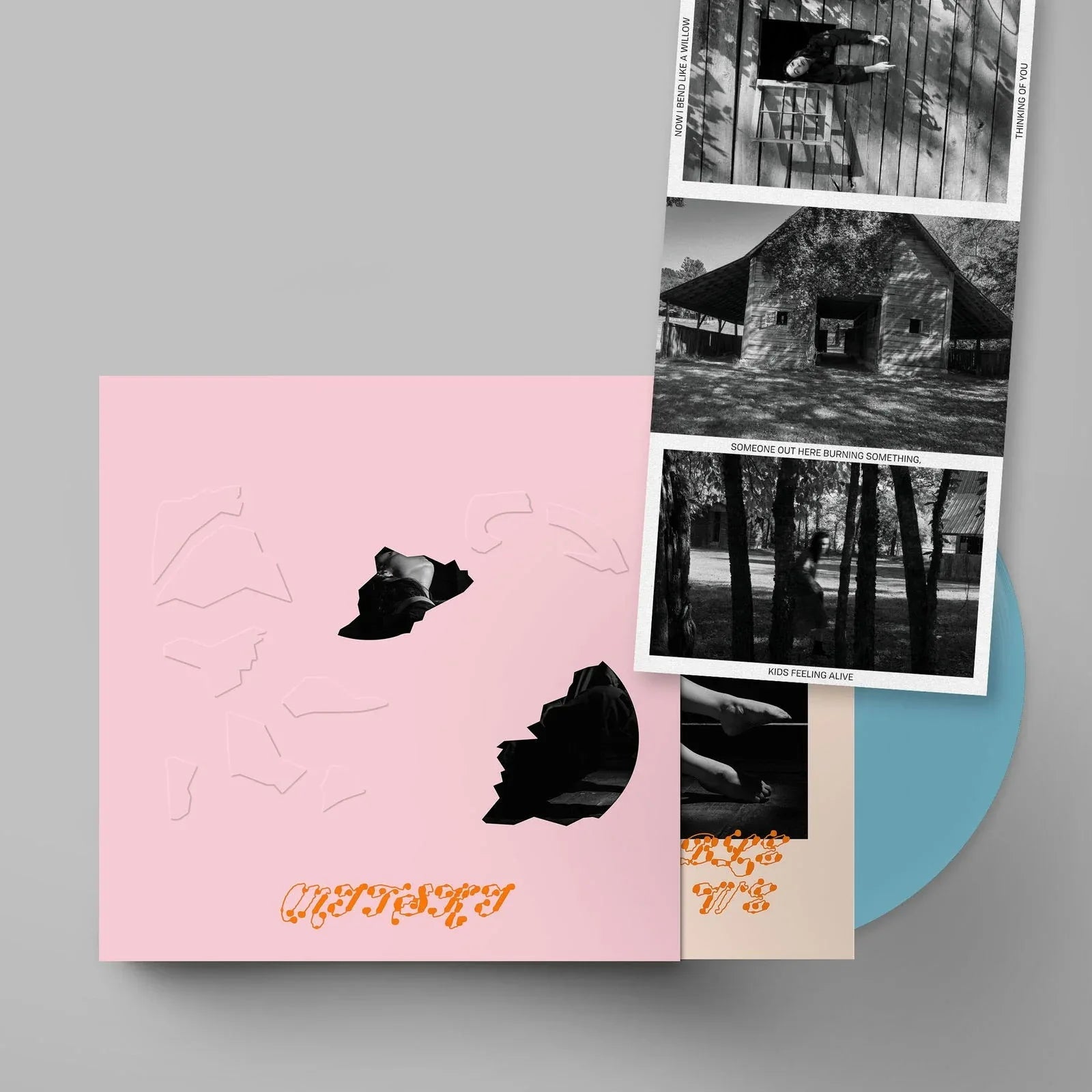 Mitski - The Land Is Inhospitable and So Are We (Indie Exclusive, Robin Egg Blue Vinyl) (LP) - Joco Records