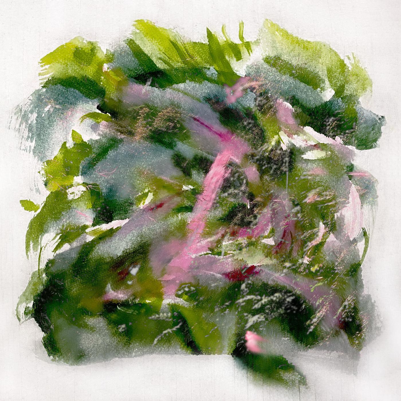 MIZU - Forest Scenes (Color-In-Color Light Pink & Red Vinyl) - Joco Records