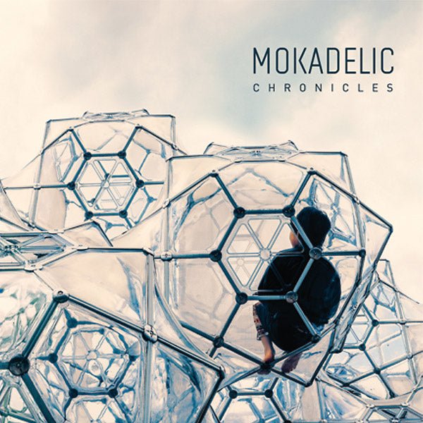 Mokadelic - Chronicles (2 LP) - Joco Records