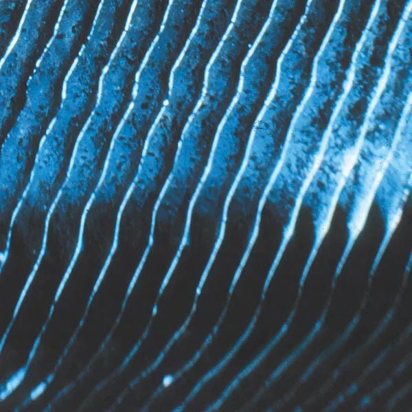 Monolake - Gravity (2 LP) - Joco Records