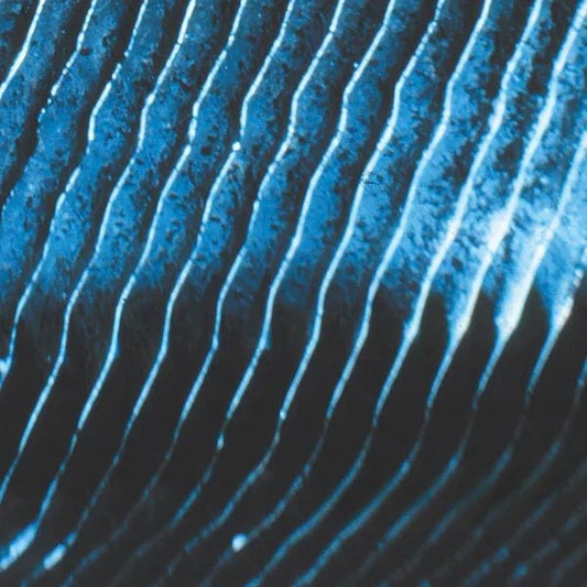 Monolake - Gravity (2 LP) - Joco Records