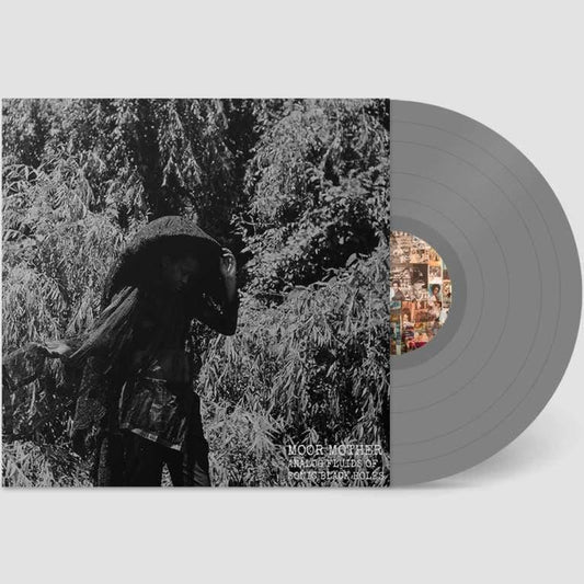 Moor Mother - Analog Fluids Of Sonic Black Holes (Indie Exclusive, Gray Vinyl) (LP) - Joco Records