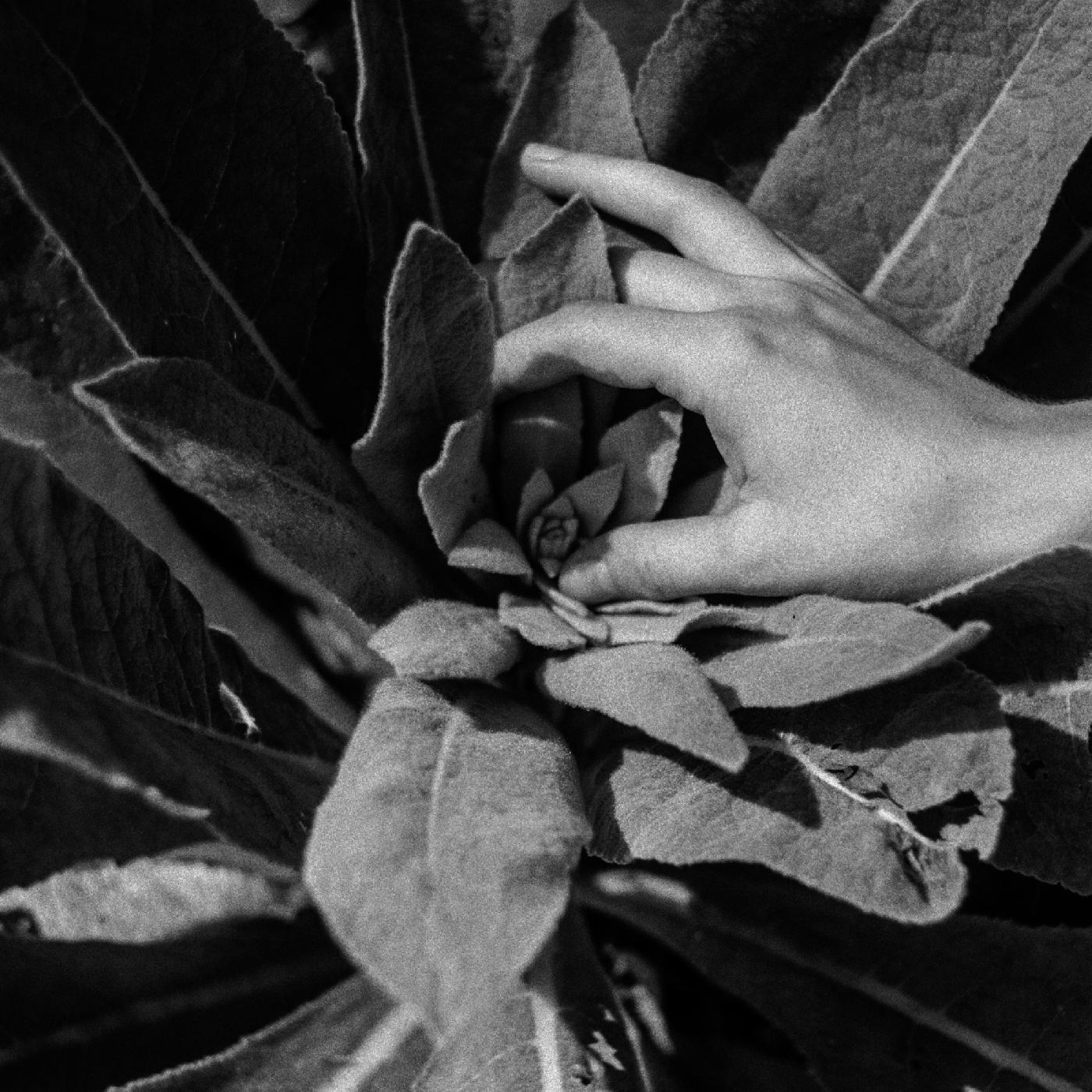 Nanook Of The North - Heide (Indie Exclusive, Silver Vinyl)