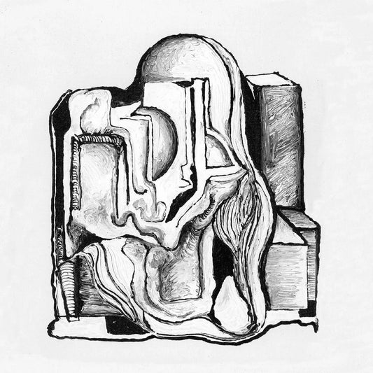 Nate Young - Volume One: Dilemmas Of Identity (LP) - Joco Records