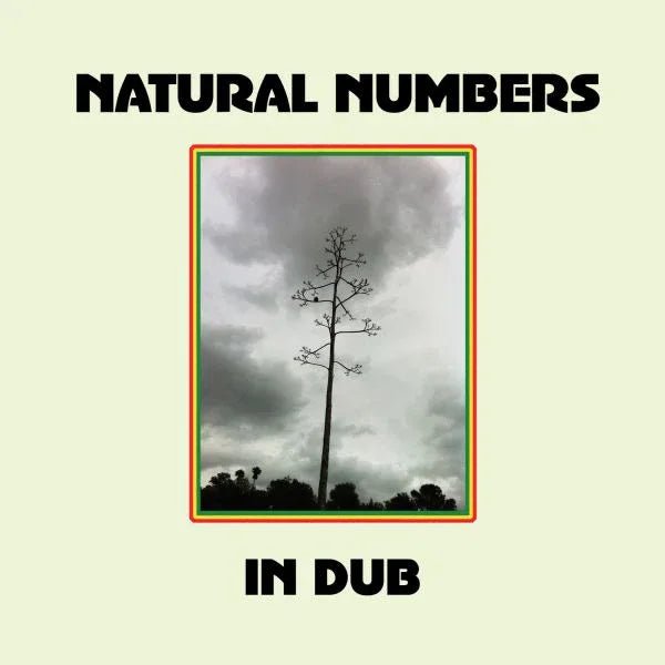 Natural Numbers - Natural Numbers In Dub (LP) - Joco Records
