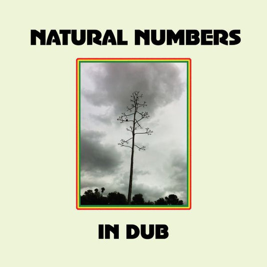 Natural Numbers - Natural Numbers In Dub (Vinyl) - Joco Records