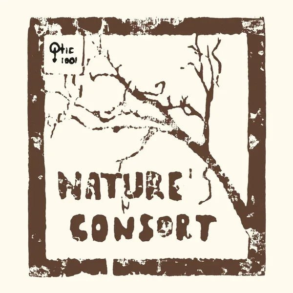 Nature'S Consort - Nature's Consort (Vinyl) - Joco Records