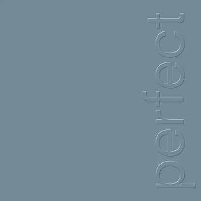 New Order - The Perfect Kiss (2022 Remaster) (12-Inch Vinyl EP) - Joco Records