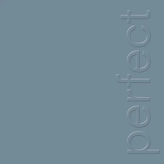 New Order - The Perfect Kiss (2022 Remaster) (12-Inch Vinyl EP) - Joco Records